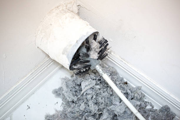 Best HVAC Maintenance and Cleaning  in Somerton, AZ